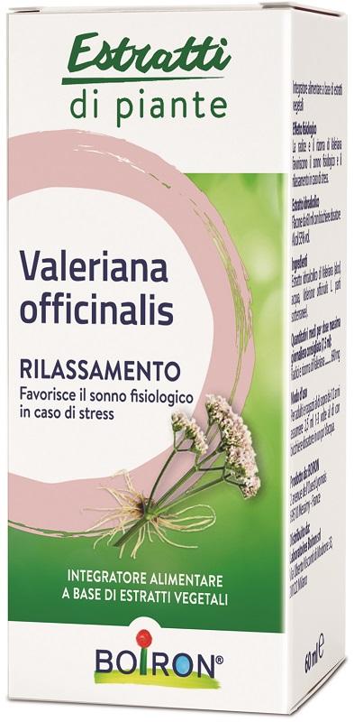 ND Valeriana Boiron Ei 60 ml