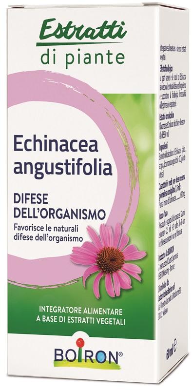 ND Echinacea Boiron Ei 60 ml
