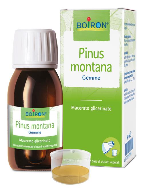 ND Pinus Montana Boiron mg 60 ml