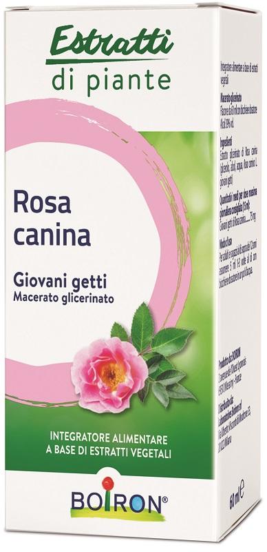 ND Rosa Canina Boiron mg 60 ml