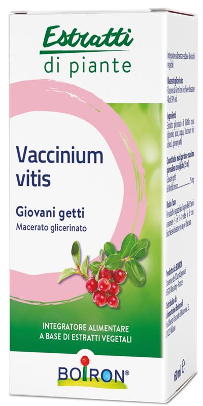 ND Vaccinium Vitis mg 60 ml
