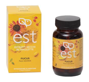 ND Fucus Es 60TAV