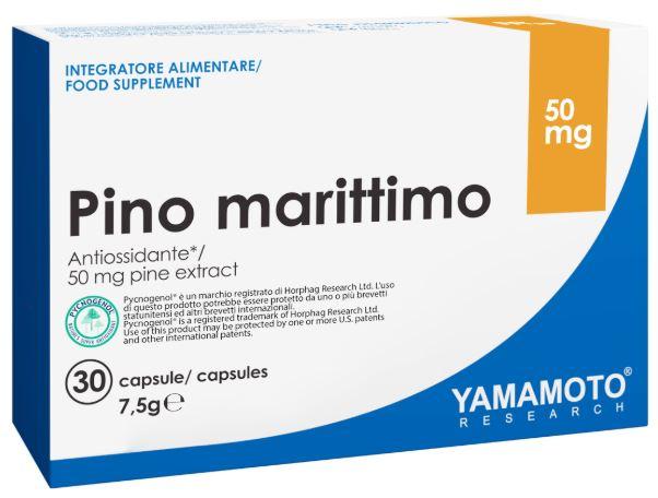 ND Yamamoto R Pino MARITTIMO30CPS