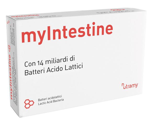 228L MYINTESTINE 30CPS