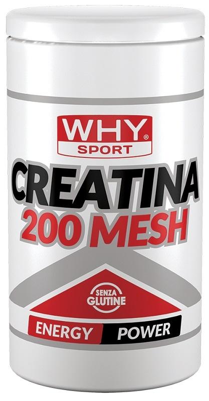 ND Whysport Creatina 200 MESH500G