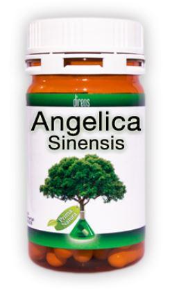 ND Angelica Sinensis 60 capsule