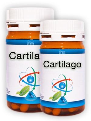 ND Cartilago 60 capsule