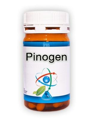 ND Pinogen 60 capsule