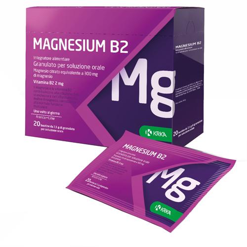 ND Magnesium B2 300/2MG 20 bustine