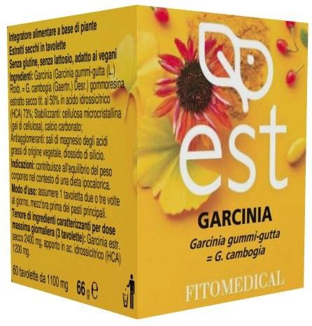 ND Garcinia Es 60TAV