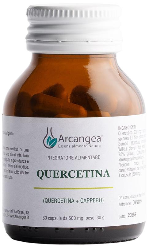 ND Quercetina 60 capsule 500 mg