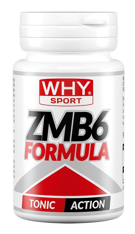 ND Whysport ZMB6 Formula 90 compresse