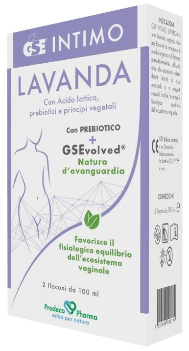 5610 GSE INTIMO LAVANDA 2FL