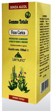 ND Ficus Carica 100 ml