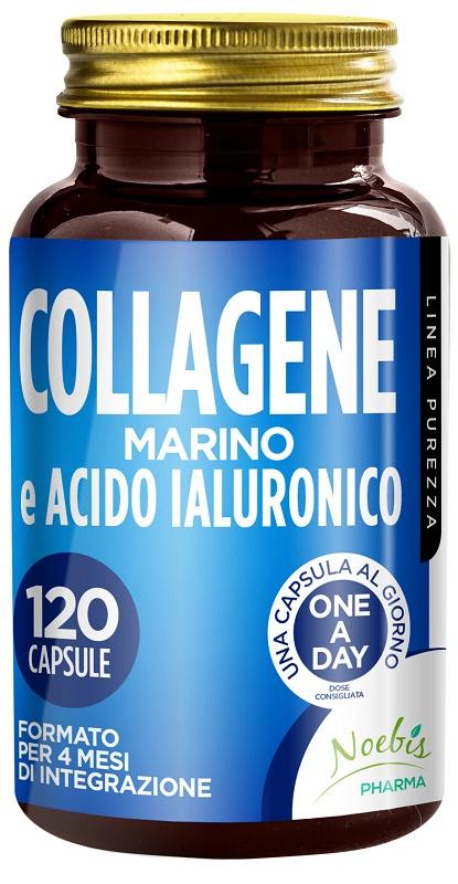 394Q COLLAGENE MARINO AC IAL 120CPS
