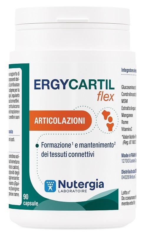 ND Ergycartil Flex 90 capsule