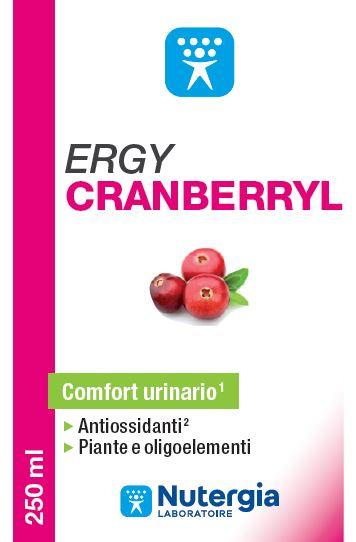 ND Ergycranberryl 250 ml
