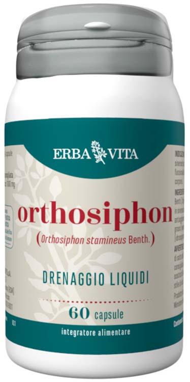 ND Orthosiphon 60 capsule