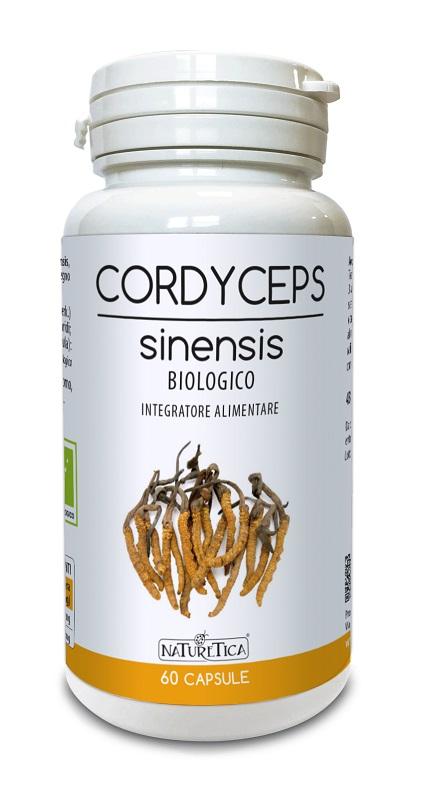 ND Cordyceps Sinensis 60 capsule