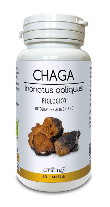 ND Chaga Inonotus Obliquus 60 capsule