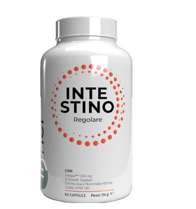 4670 Inner Intestino Regolare 60 capsule