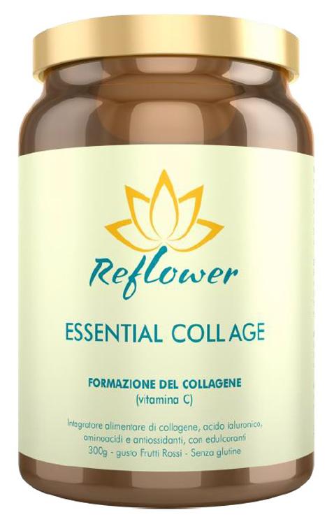 ND Reflower Essential Coll Age Fr
