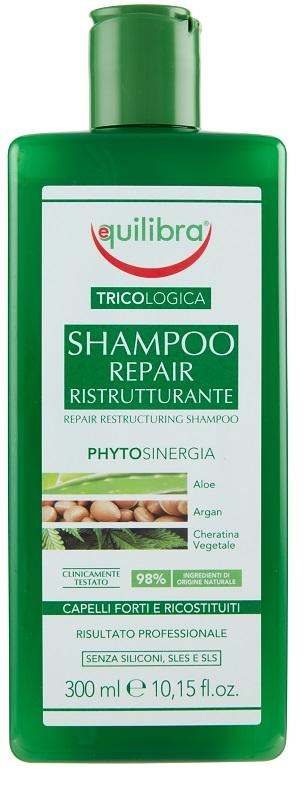 Equilibra Equilibra Tricol Sh Repair