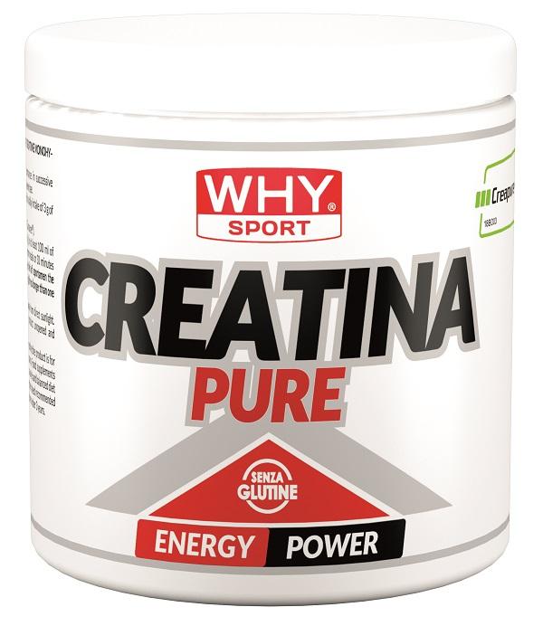 ND Whysport Creatina Pure 300 g