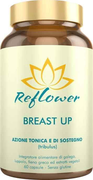 ND Reflower Breast Up 60 capsule