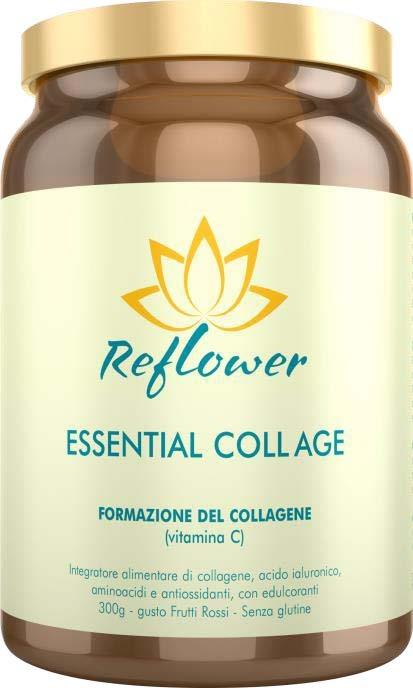 ND Reflower Essential Coll Age Ci