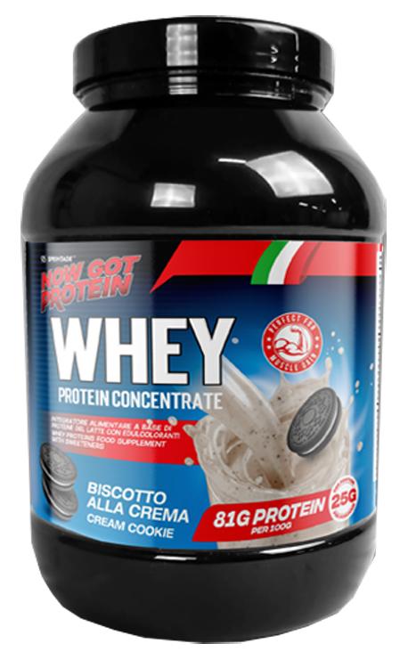 ND Sprintade Whey Prot Conc Bisc
