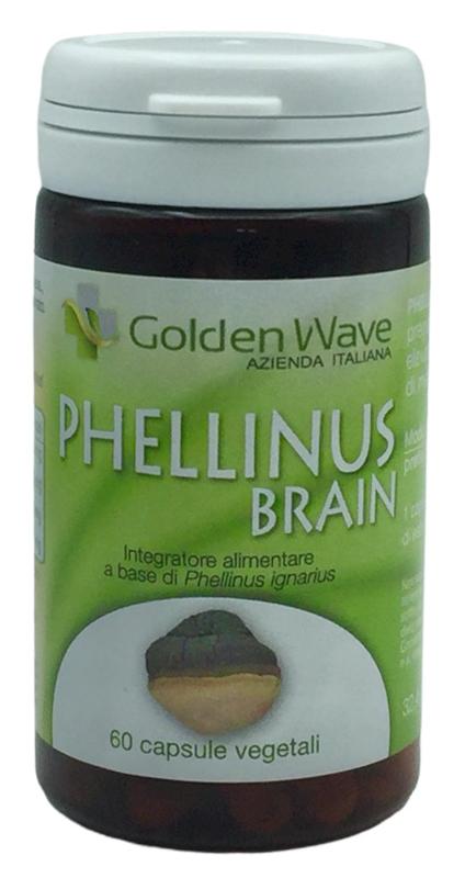 ND Phellinus Brain 60 capsule Vegetali