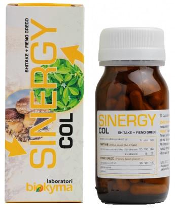 ND Sinergy Col 70 capsule