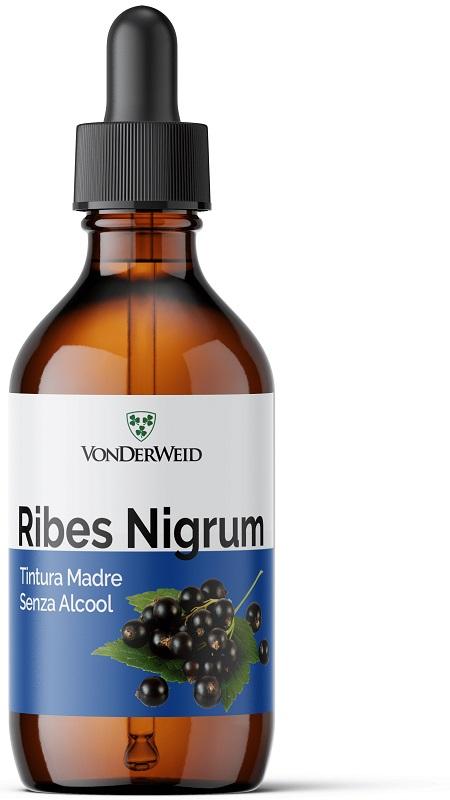ND Vonderweid Tm Analc RIBES100ML