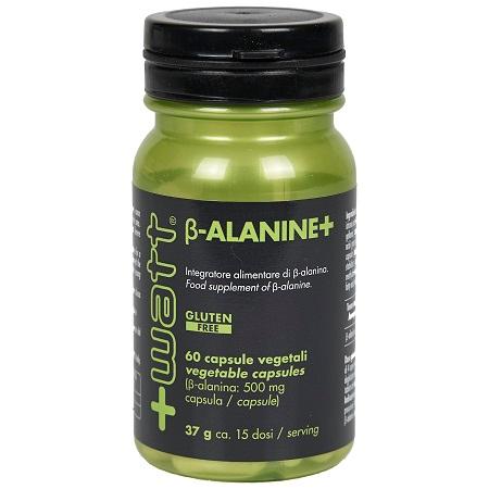 ND B-alanine+ 60 capsule