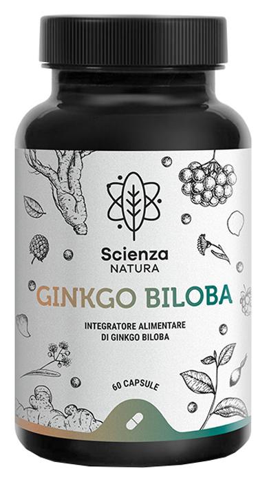 ND Ginkgo Biloba Sn 60 capsule
