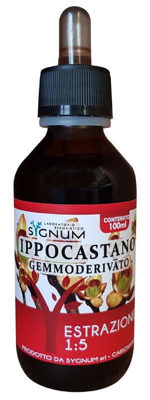 ND Ippocastano Gemme 100 ml