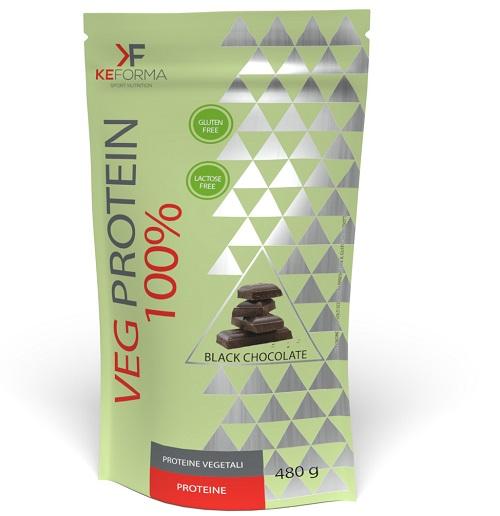 ND Veg PROTEIN100% Black CHOC480G
