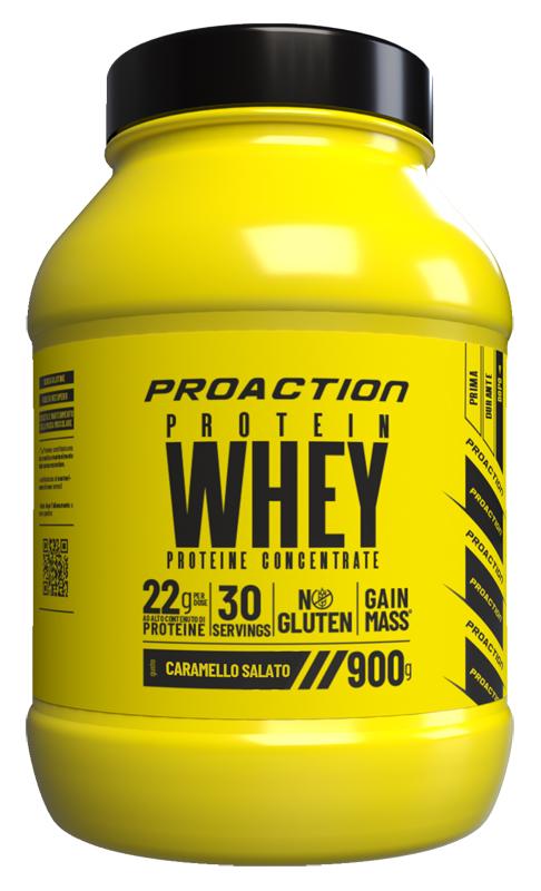 ND Fit Whey Protein Caramello Sal