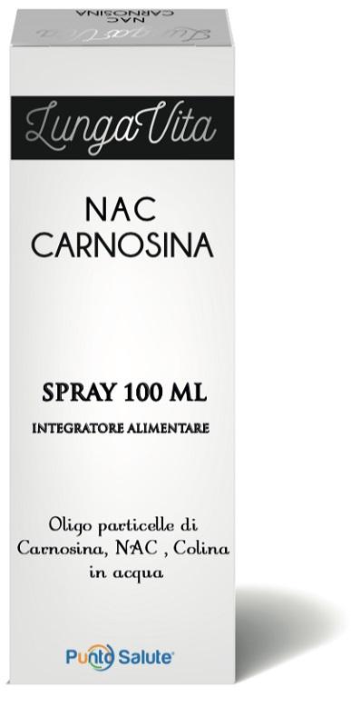ND Nac Carnosina Colloidale 100 ml