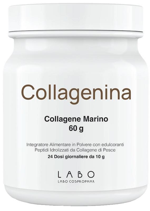 422A COLLAGENINA INTEGRATORE 240G