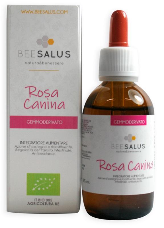 1612 BEESALUS ROSA CANINA GD BI50ML