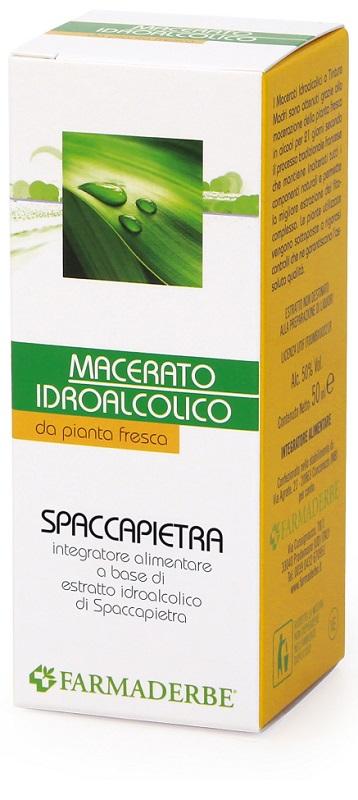 ND Spaccapietra Macerato Ial 50 ml