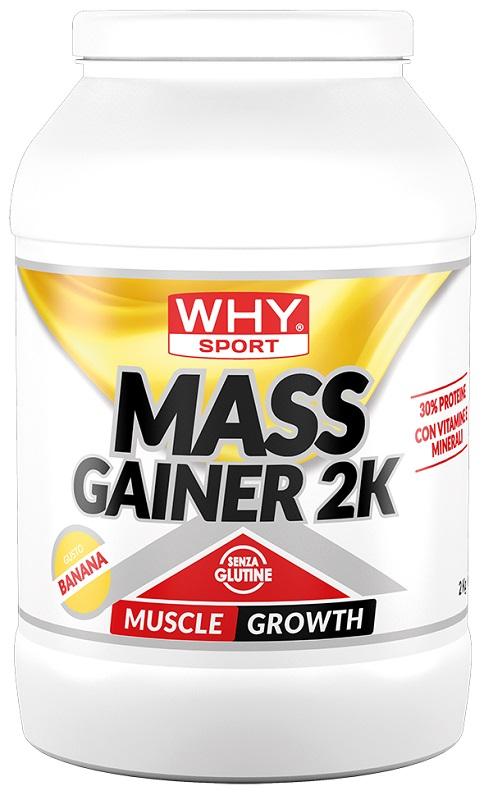 0854 WHYSPORT MASS GAINER BANANA2KG