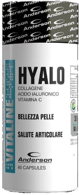 ND Anderson Hyalo 60 capsule