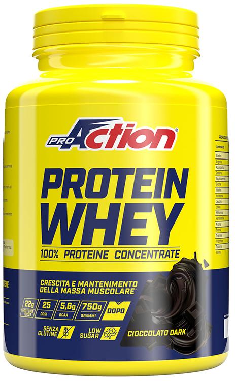 ND Proaction Prot Whey Cioc Dark