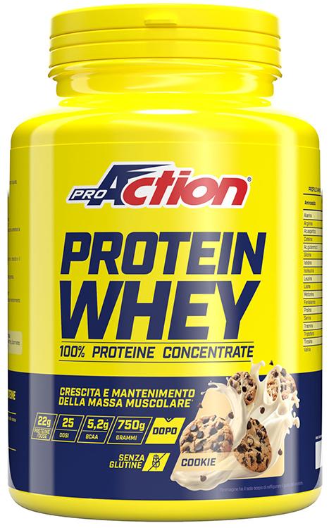 ND Proaction Prot Whey COOKIE750G