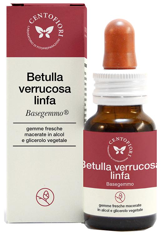 ND Betulla V Linfa Basegemmo 30 ml