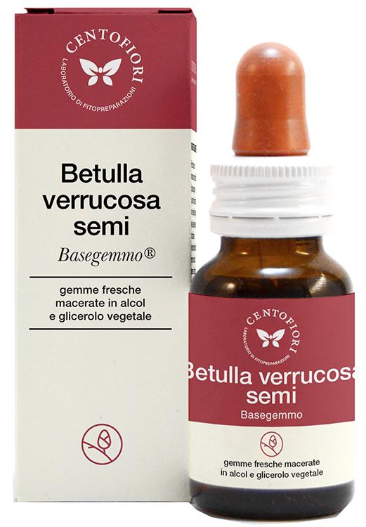 ND Betulla V Semi Basegemmo 30 ml