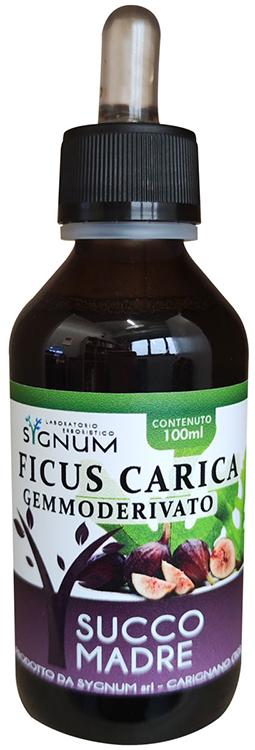 ND Ficus Carica Gd 100 ml